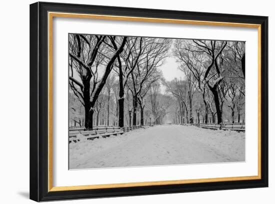 The Mall Washington Dc-Bill Carson Photography-Framed Photographic Print