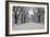 The Mall Washington Dc-Bill Carson Photography-Framed Photographic Print