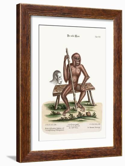 The Man of the Woods, 1749-73-George Edwards-Framed Giclee Print