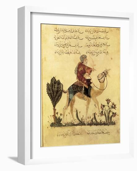 "The Maqamat" (The Assemblies of Al-Hariri), Characteristic Genre of the Medieval Arabic Literature-Yahya ibn Mahmud Al-Wasiti-Framed Art Print