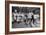 The March on Washington: Freedom Walkers, 28th August 1963-Nat Herz-Framed Photographic Print