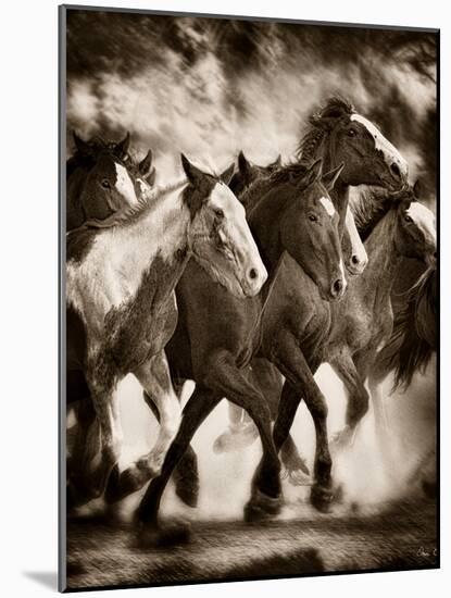 The March-David Drost-Mounted Photographic Print