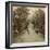 The Mardyke, Cork, Ireland-BW Kilburn-Framed Photographic Print