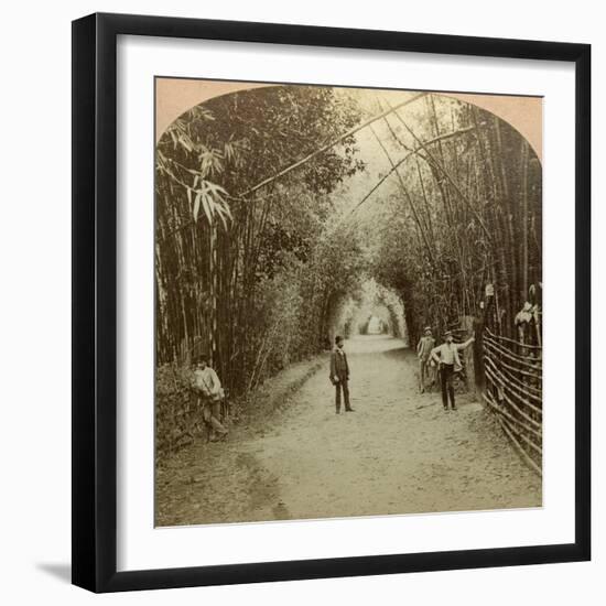 The Mardyke, Cork, Ireland-BW Kilburn-Framed Photographic Print