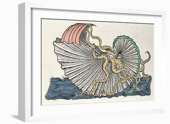 The Marine Monsters: Engraving by Pierre Belon Representing the Argonaut according to Pline's Descr-French School-Framed Giclee Print