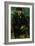 The Mariner, 1905-Paul Cézanne-Framed Giclee Print