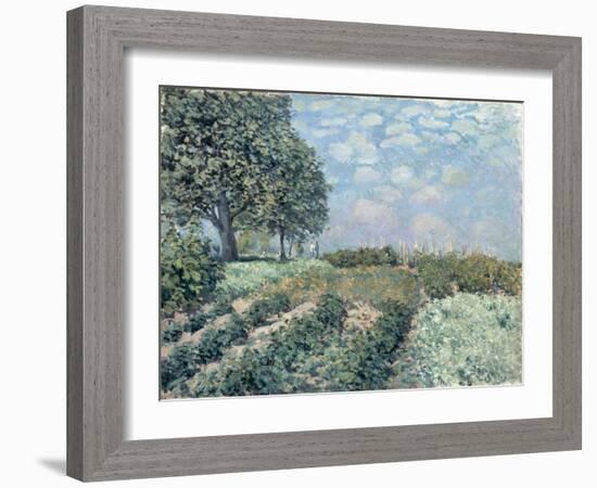 The Market Gardens, 1874-Alfred Sisley-Framed Giclee Print