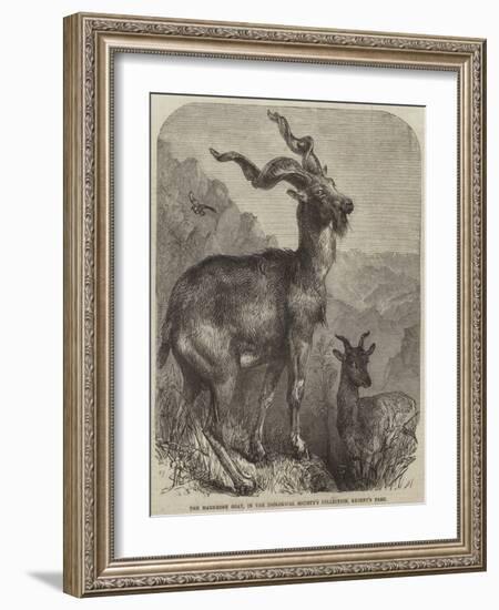 The Markhore Goat, in the Zoological Society's Collection, Regent's Park-null-Framed Giclee Print