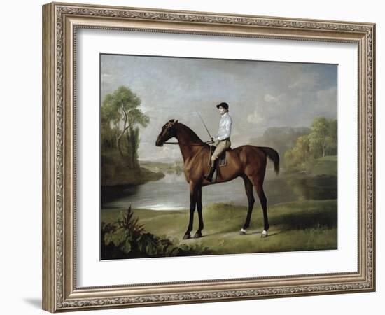 The Marquess of Rockingham's "Scrub", with John Singleton Up, 1762-George Stubbs-Framed Giclee Print