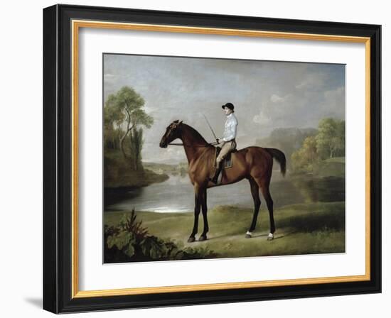 The Marquess of Rockingham's "Scrub", with John Singleton Up, 1762-George Stubbs-Framed Giclee Print