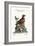 The Marsh-Hawk, and the Reed-Birds, 1749-73-George Edwards-Framed Giclee Print