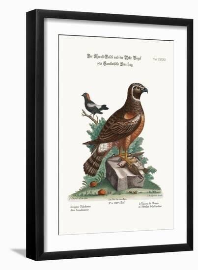 The Marsh-Hawk, and the Reed-Birds, 1749-73-George Edwards-Framed Giclee Print