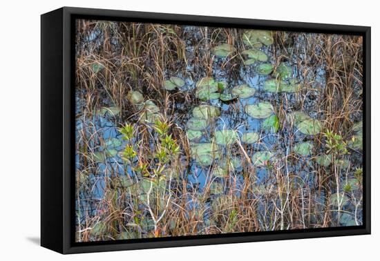 The Marsh-Danny Head-Framed Premier Image Canvas