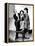 The Marx Brothers, 1940-null-Framed Stretched Canvas