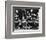 The Marx Brothers-null-Framed Photo