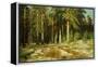 The Mast-Tree Grove, Study-Ivan Ivanovitch Shishkin-Framed Premier Image Canvas