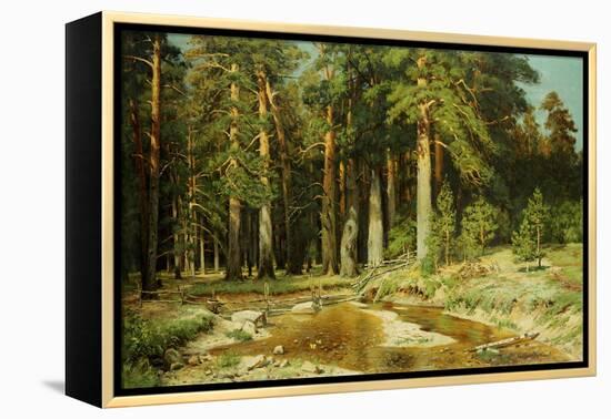 The Mast-Tree Grove, Study-Ivan Ivanovitch Shishkin-Framed Premier Image Canvas