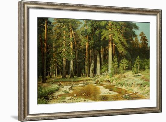 The Mast-Tree Grove, Study-Ivan Ivanovitch Shishkin-Framed Giclee Print