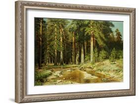The Mast-Tree Grove, Study-Ivan Ivanovitch Shishkin-Framed Giclee Print