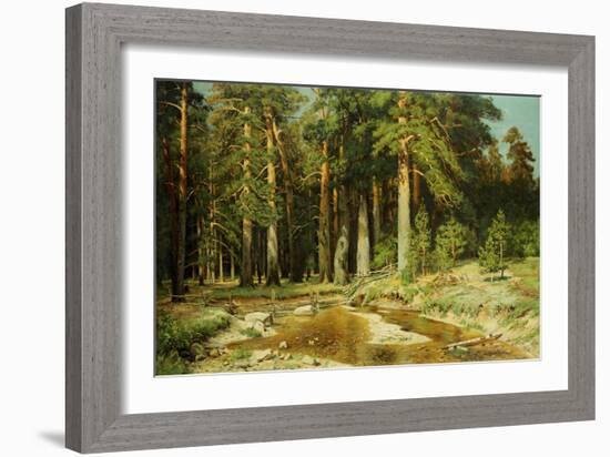 The Mast-Tree Grove, Study-Ivan Ivanovitch Shishkin-Framed Giclee Print