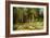 The Mast-Tree Grove, Study-Ivan Ivanovitch Shishkin-Framed Giclee Print