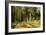 The Mast-Tree Grove, Study-Ivan Ivanovitch Shishkin-Framed Giclee Print