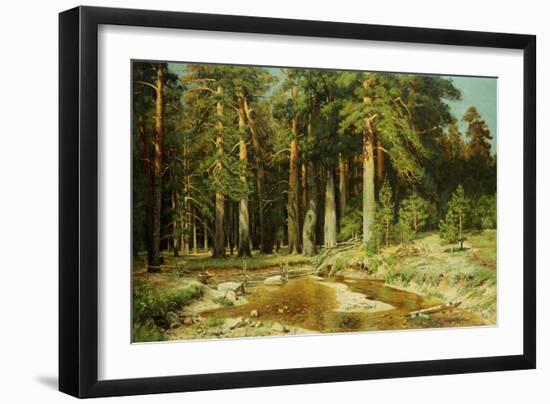 The Mast-Tree Grove, Study-Ivan Ivanovitch Shishkin-Framed Giclee Print