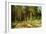 The Mast-Tree Grove, Study-Ivan Ivanovitch Shishkin-Framed Giclee Print