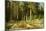 The Mast-Tree Grove, Study-Ivan Ivanovitch Shishkin-Mounted Giclee Print