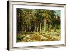 The Mast-Tree Grove, Study-Ivan Ivanovitch Shishkin-Framed Giclee Print