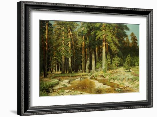 The Mast-Tree Grove, Study-Ivan Ivanovitch Shishkin-Framed Giclee Print