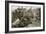The Matabele War, 1893 (1901)-Unknown-Framed Giclee Print