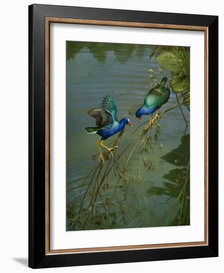 The Mating Game-Michael Jackson-Framed Giclee Print