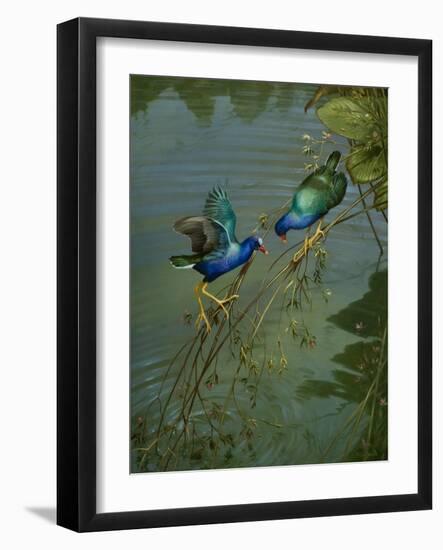 The Mating Game-Michael Jackson-Framed Giclee Print