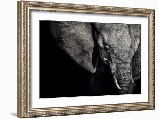 The Matriarch-Piet Flour-Framed Photographic Print