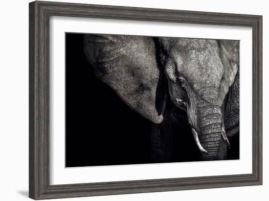 The Matriarch-Piet Flour-Framed Photographic Print