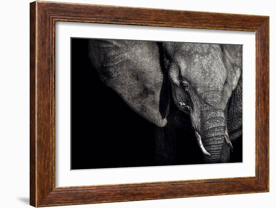 The Matriarch-Piet Flour-Framed Photographic Print