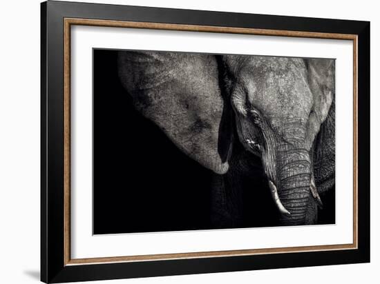 The Matriarch-Piet Flour-Framed Photographic Print