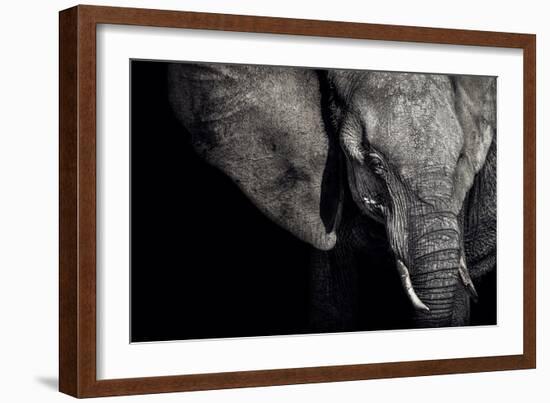 The Matriarch-Piet Flour-Framed Photographic Print