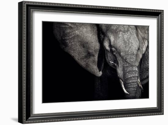 The Matriarch-Piet Flour-Framed Photographic Print