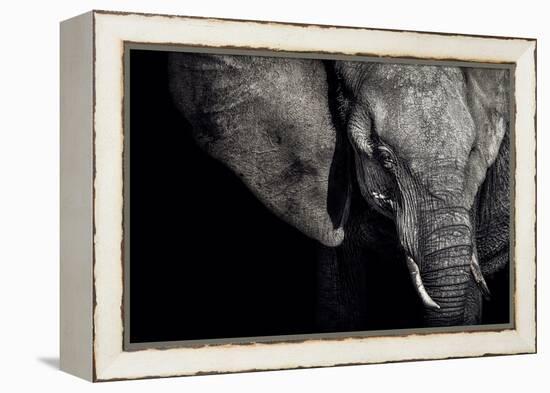 The Matriarch-Piet Flour-Framed Premier Image Canvas