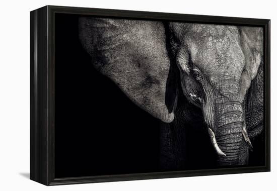 The Matriarch-Piet Flour-Framed Premier Image Canvas