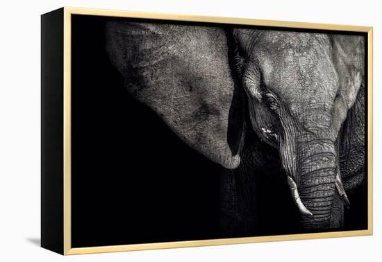 The Matriarch-Piet Flour-Framed Premier Image Canvas