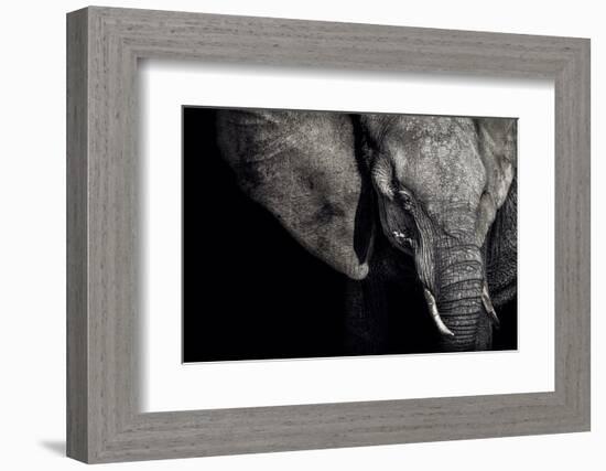 The Matriarch-Piet Flour-Framed Photographic Print