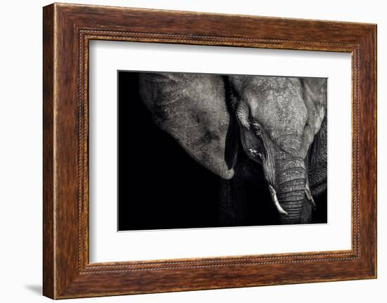 The Matriarch-Piet Flour-Framed Photographic Print