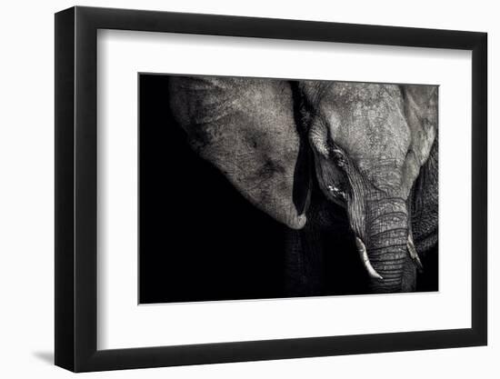 The Matriarch-Piet Flour-Framed Photographic Print