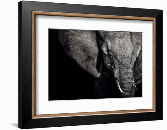 The Matriarch-Piet Flour-Framed Photographic Print