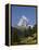 The Matterhorn Near Zermatt, Valais, Swiss Alps, Switzerland, Europe-Hans Peter Merten-Framed Premier Image Canvas