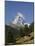 The Matterhorn Near Zermatt, Valais, Swiss Alps, Switzerland, Europe-Hans Peter Merten-Mounted Photographic Print