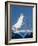 The Matterhorn, Zermatt, Valais, Wallis, Switzerland-Walter Bibikow-Framed Photographic Print